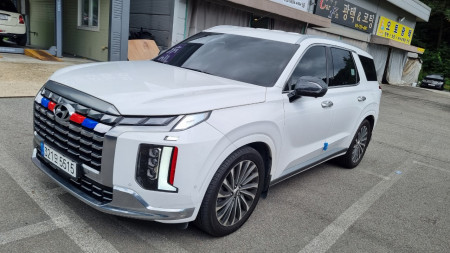 The New Palisade 3.8 4WD