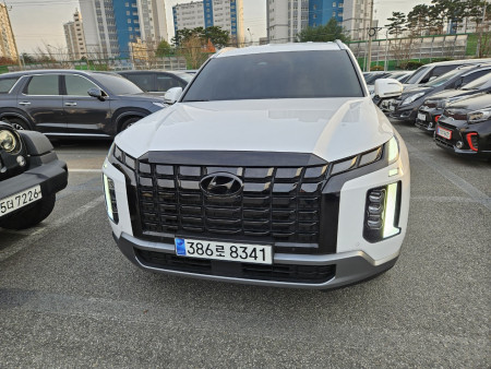 The New Palisade 3.8 2WD