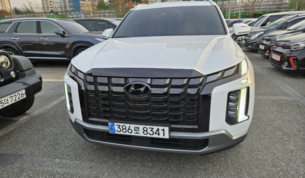 The New Palisade 3.8 2WD