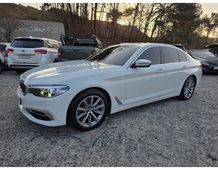 BMW5(G30) 520i luxury